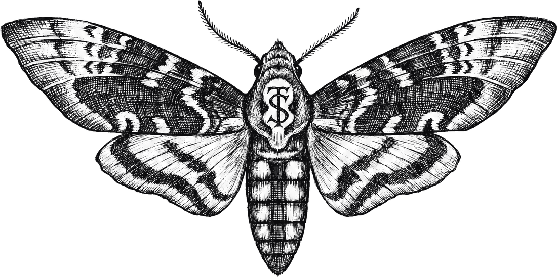 The engraved moth, Tim Symes mark