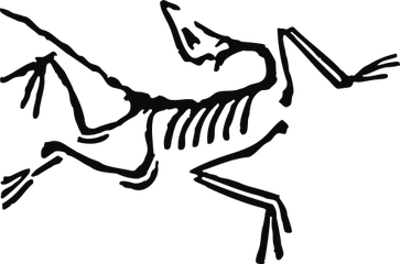 Arc'teryx